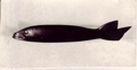 Barracuda (from pair), ebony (1952)