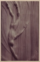 Diving girl, relief, gumwood (1936)